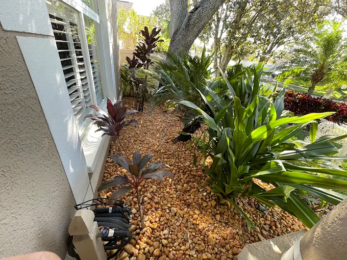 River rock bed with tropical plantings alongside a home