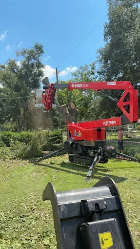 Spider lift set up in a Tampa yard for a large oak tree trim