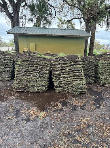 Pallets of fresh sod ready for installation